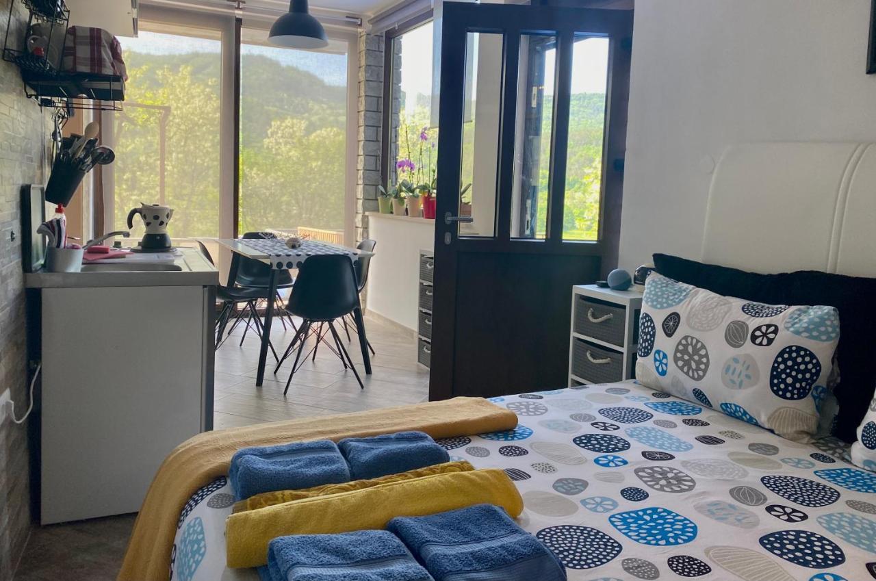Apartman Verona Buzet Bagian luar foto