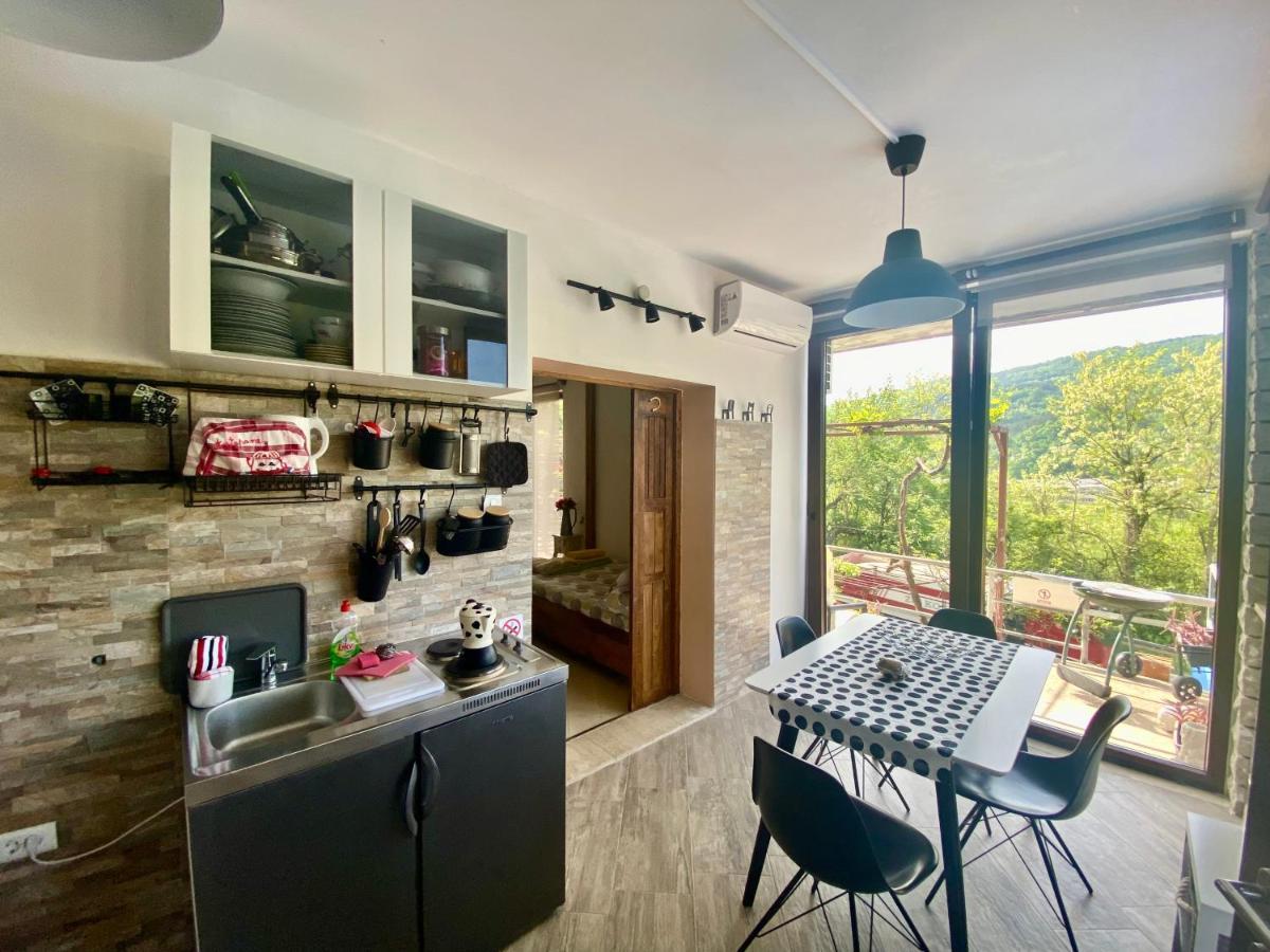 Apartman Verona Buzet Bagian luar foto