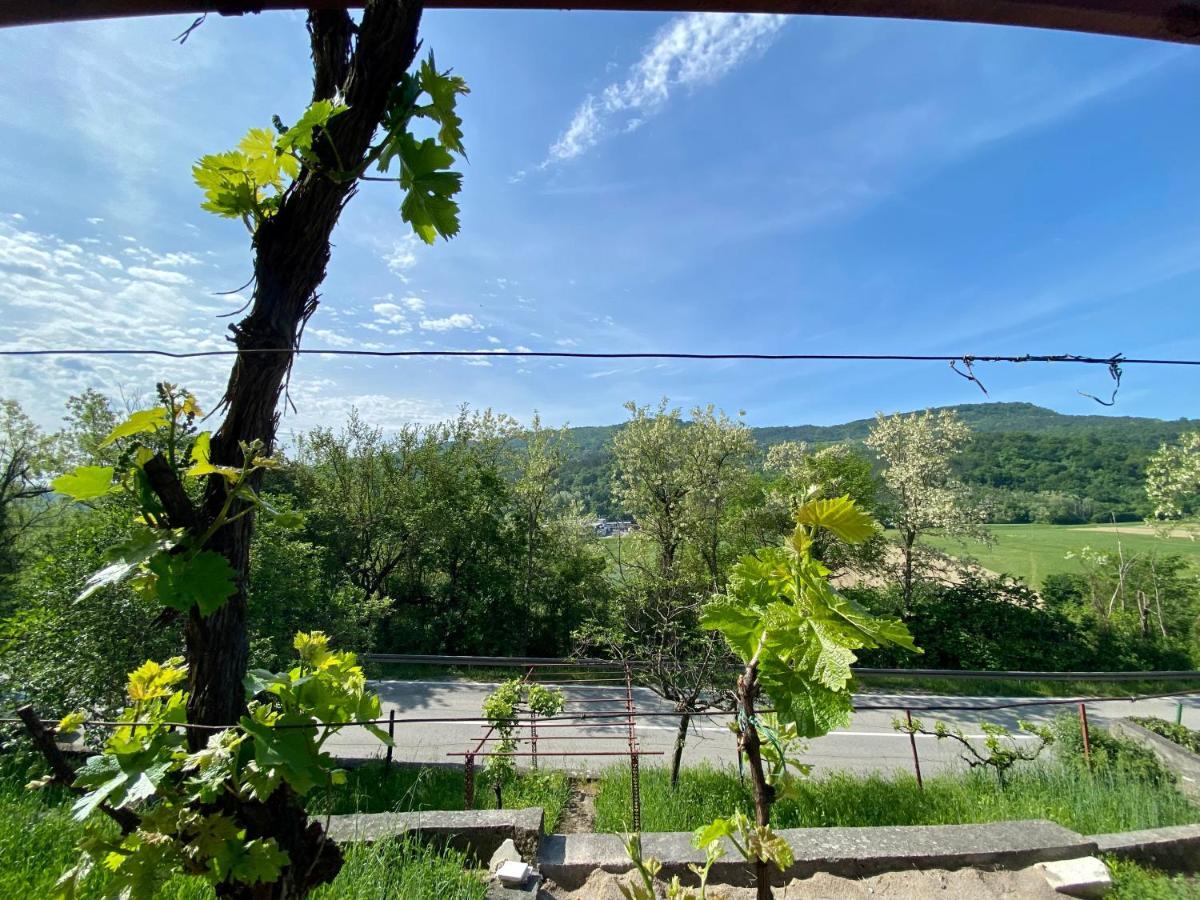Apartman Verona Buzet Bagian luar foto