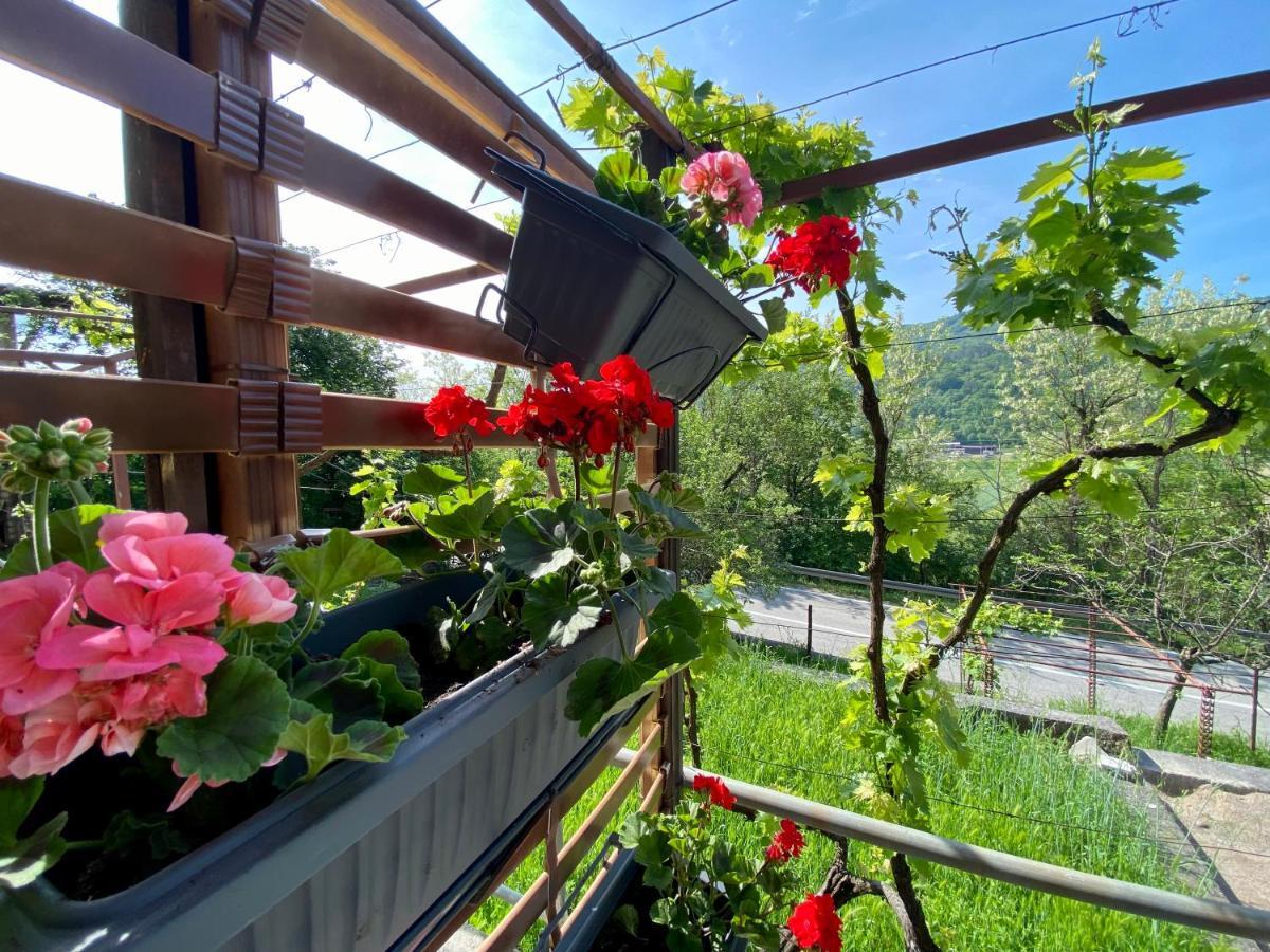 Apartman Verona Buzet Bagian luar foto